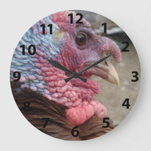 Turkiet Tom Large Clock Stor Klocka