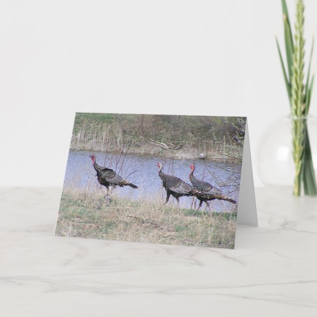 Turkiet Trio vid vatten Helgkort (Framsida)