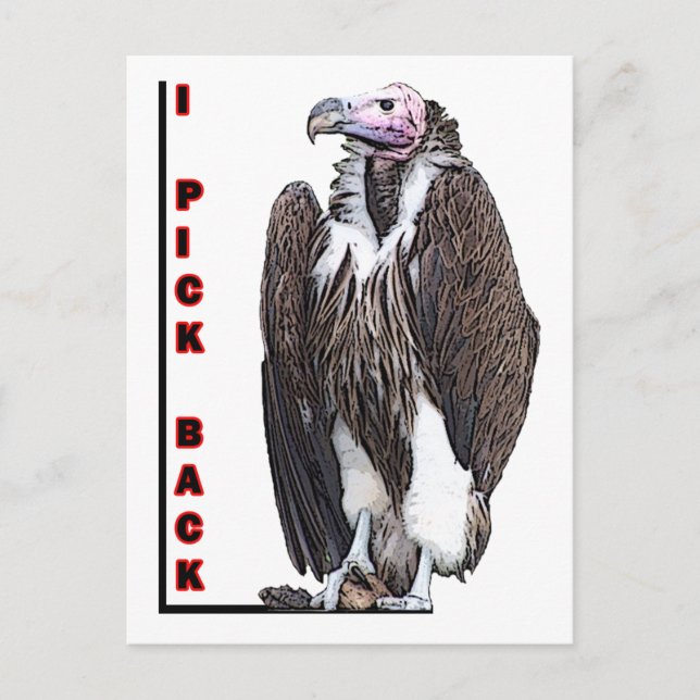 Turkiet Vculture I Plocka Back Posterized Photo Vykort (Framsida)