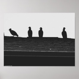 Turkiet Vculture Poster
