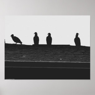 Turkiet Vculture Poster