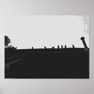 Turkiet Vculture Poster