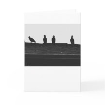 Turkiet Vculture Silhouette, kort