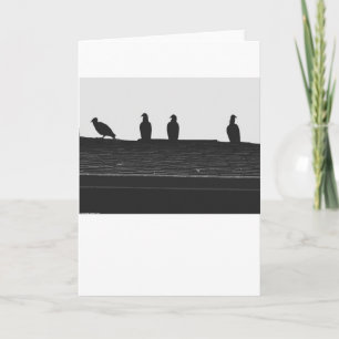 Turkiet Vculture Silhouette, kort