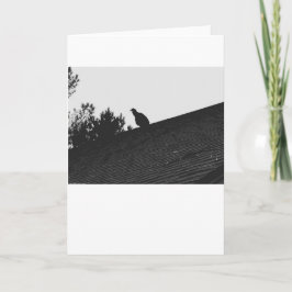 Turkiet Vculture Silhouette, kort