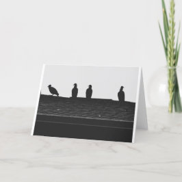 Turkiet Vculture Silhouette, kort