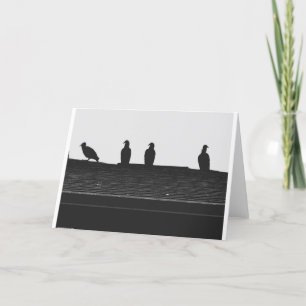 Turkiet Vculture Silhouette, kort