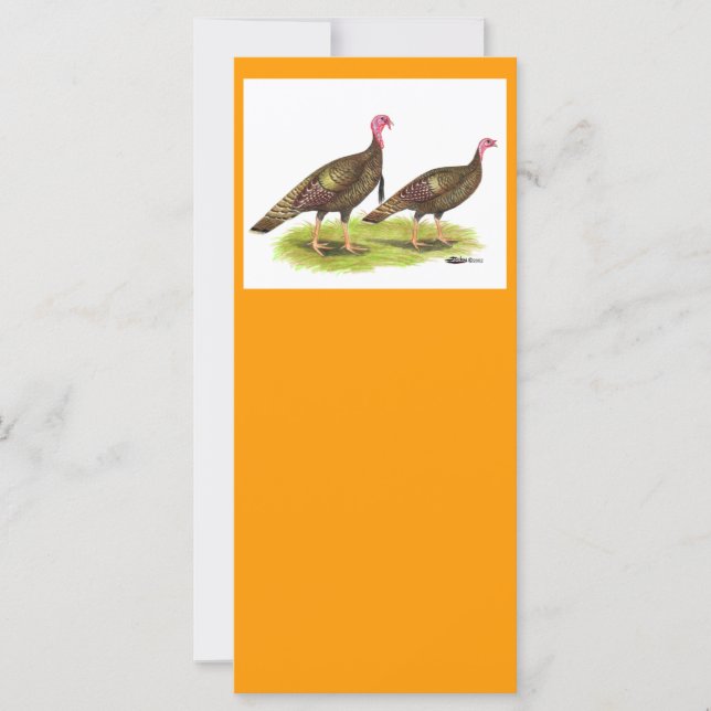 Turkiet: Vild Bronze (Framsida)