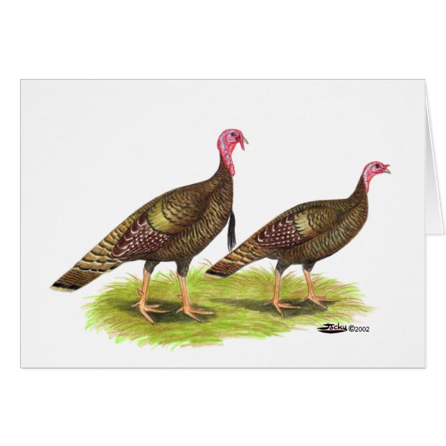 Turkiet: Vild Bronze Hälsningskort (Framsidan Horizontal)