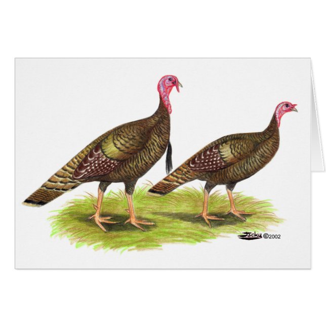 Turkiet: Vild Bronze Hälsningskort (Framsidan Horizontal)