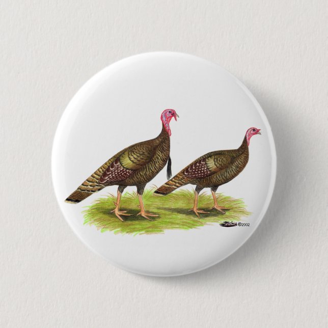 Turkiet:  Vilden brons Knapp (Framsida)