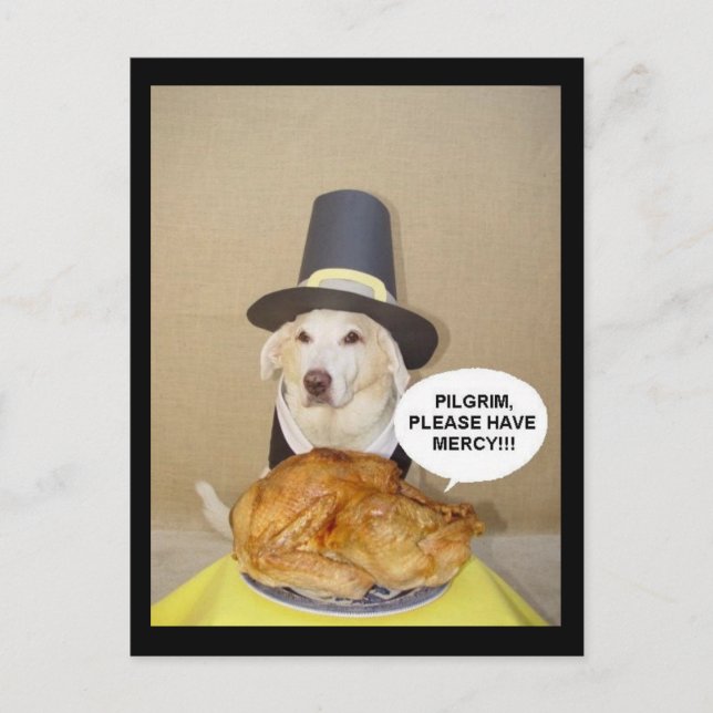 TURKIET VYKORT (Framsida)