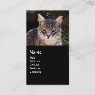 TURKISH CAT MONOGRAM VISITKORT