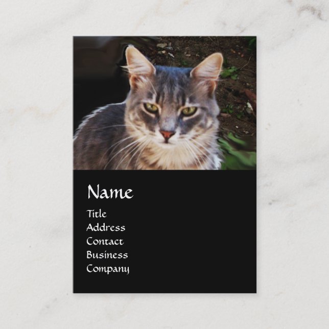 TURKISH CAT MONOGRAM VISITKORT (Framsida)