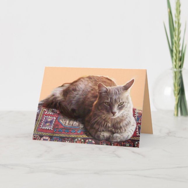 TURKISH CAT PÅ GAMN CARPET KORT (Framsida)