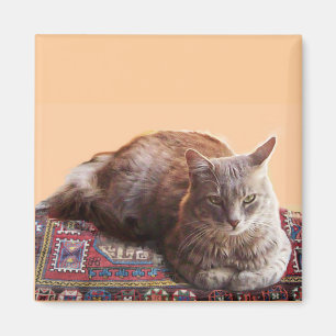 TURKISH CAT PÅ GAMN CARPET MAGNET