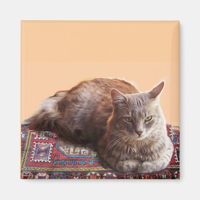 TURKISH CAT PÅ GAMN CARPET MAGNET (Framsidan)