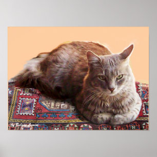 TURKISH CAT PÅ GAMN CARPET POSTER