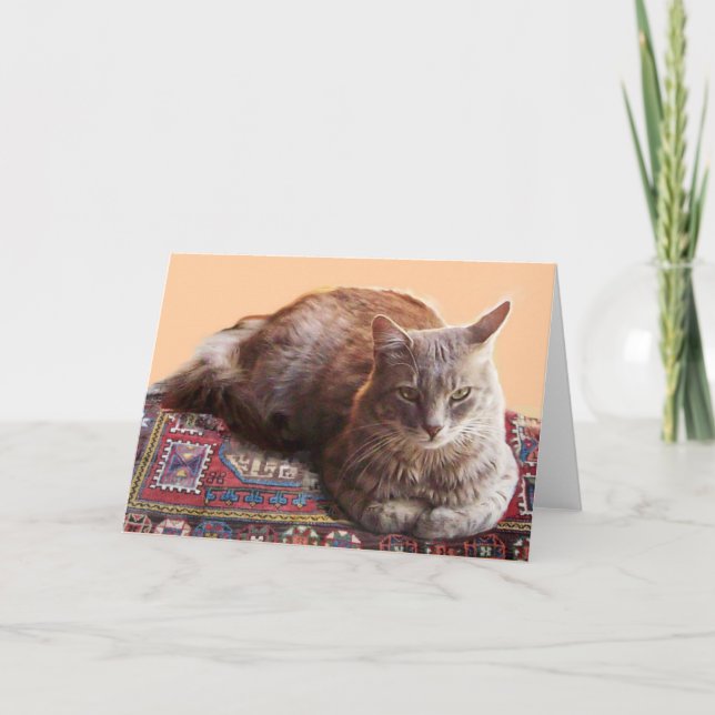 TURKISH CAT SITTA PÅ DEN GAMLA KARPET KORT (Framsida)