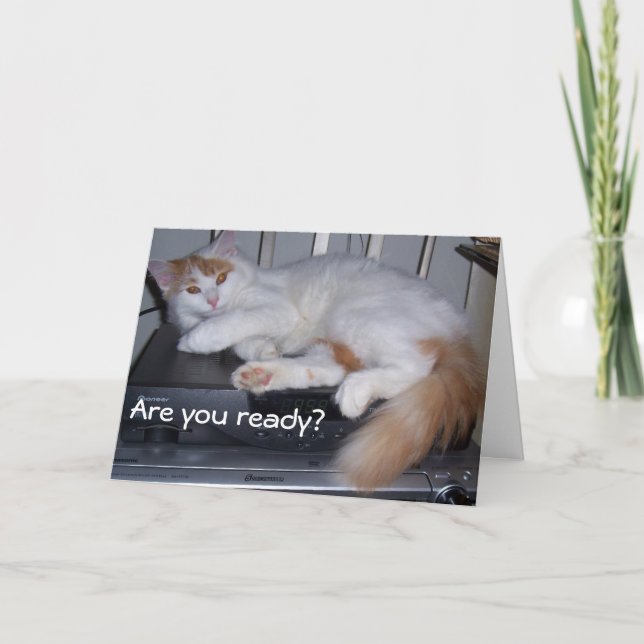 TURKISH VAN ÄR REDO ATT CELEBRAERA DIN BIRTHDAY KORT (Framsida)