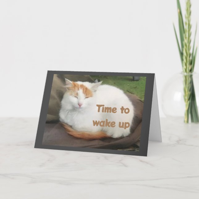 TURKISH VAN SAYS **GRATTIS PÅ FÖDELSEDAGEN TILL DI KORT (Framsida)