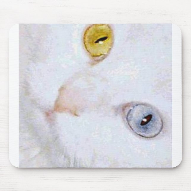 Turkisk angora 2 olika ögafärger musmatta (Framsidan)