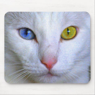 Turkisk Angora Mousepad Musmatta