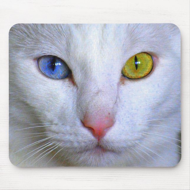 Turkisk Angora Mousepad Musmatta (Framsidan)