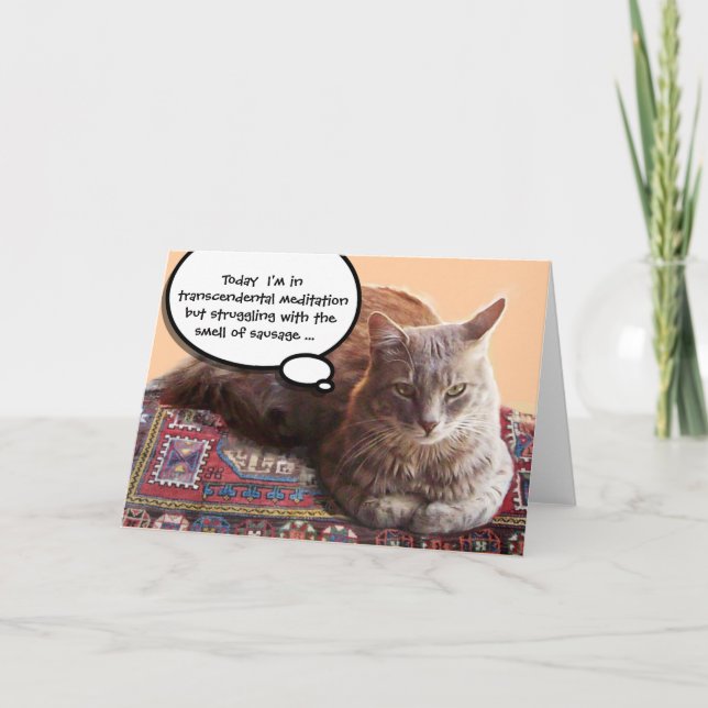 TURKISK KATT I TRANSCENDENTAL MEDITATION KORT (Framsida)