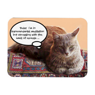 TURKISK KATT I TRANSCENDENTAL MEDITATION MAGNET