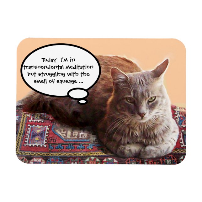 TURKISK KATT I TRANSCENDENTAL MEDITATION MAGNET (Horisontell)