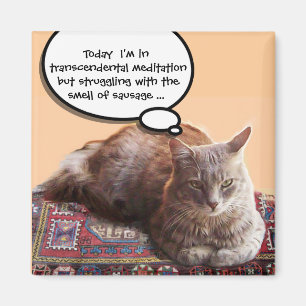 TURKISK KATT I TRANSCENDENTAL MEDITATION MAGNET