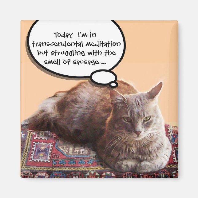 TURKISK KATT I TRANSCENDENTAL MEDITATION MAGNET (Framsidan)