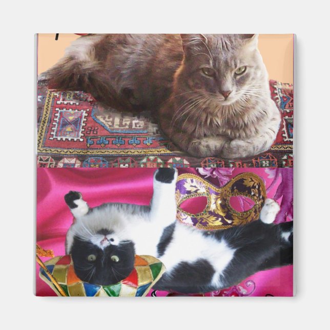 TURKISK KATT I TRANSCENDENTAL MEDITATION MAGNET (Framsidan)