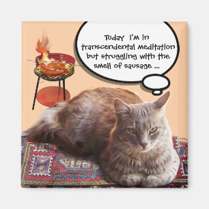 TURKISK KATT I TRANSCENDENTAL MEDITATION MAGNET