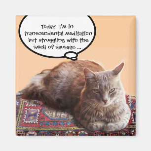 TURKISK KATT I TRANSCENDENTAL MEDITATION MAGNET