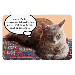 TURKISK KATT I TRANSCENDENTAL MEDITATION MAGNET