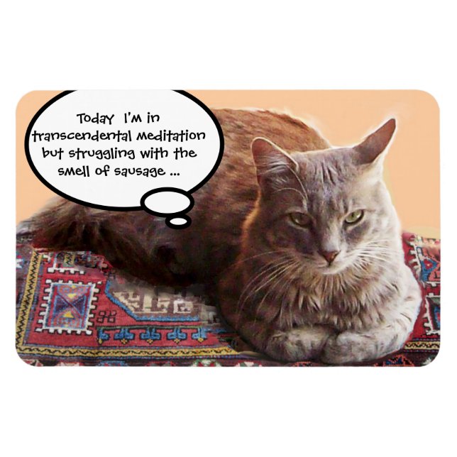 TURKISK KATT I TRANSCENDENTAL MEDITATION MAGNET (Horisontell)