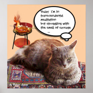 TURKISK KATT I TRANSCENDENTAL MEDITATION POSTER