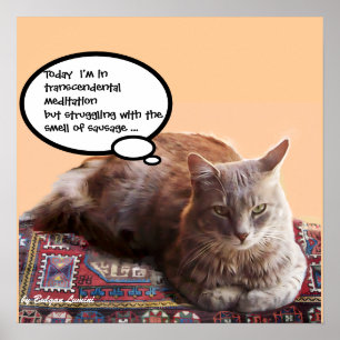 TURKISK KATT I TRANSCENDENTAL MEDITATION POSTER