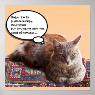 TURKISK KATT I TRANSCENDENTAL MEDITATION POSTER