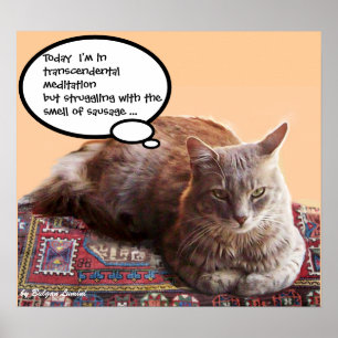 TURKISK KATT I TRANSCENDENTAL MEDITATION POSTER