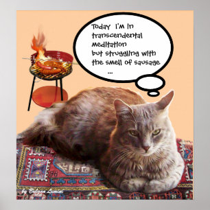 TURKISK KATT I TRANSCENDENTAL MEDITATION POSTER