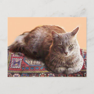 TURKISK KATT PÅ DEN GAMLA MATTAN VYKORT