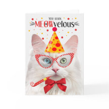 Turkiska Angora Cat MEOWvelous Birthday
