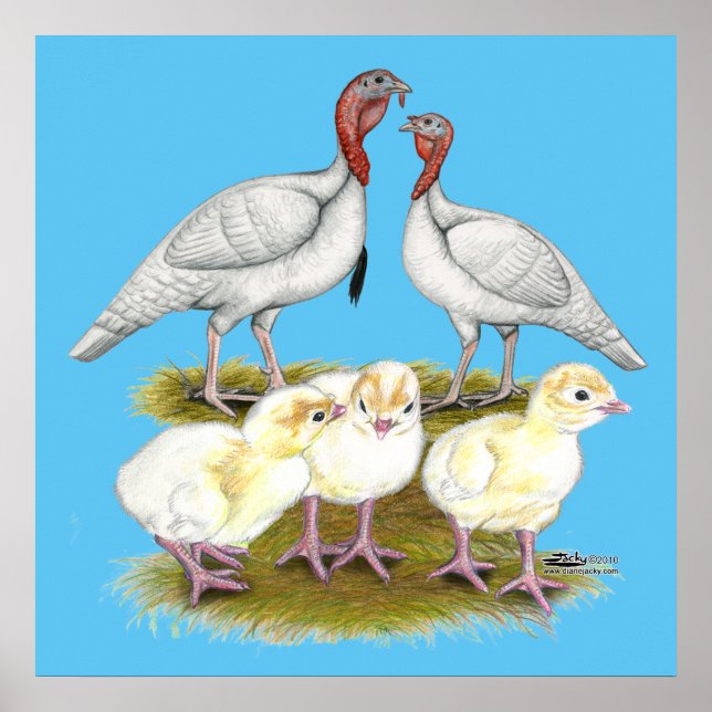 Turkiska Mini White-familjen Poster (Framsidan)