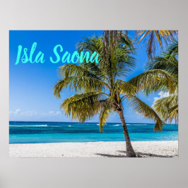 Turkiska republiken Saona Beach Domenican Poster