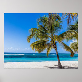Turkiska republiken Saona Beach Domenican Poster
