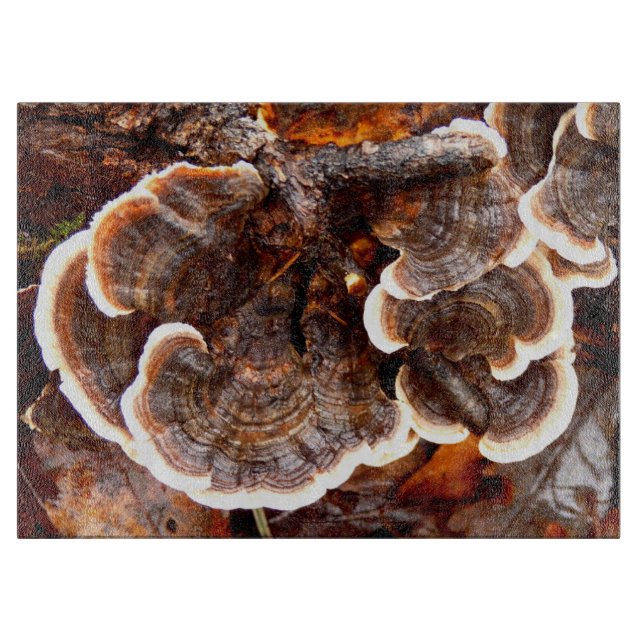 Turkiska Svan Fungi Glass Choppboard (Framsidan)