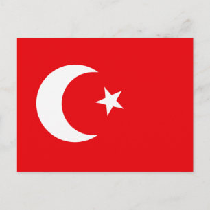 Turkiska T-tröjor och Flagga Vykort